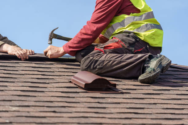 Best Gutter Installation and Roofing  in Hackleburg, AL