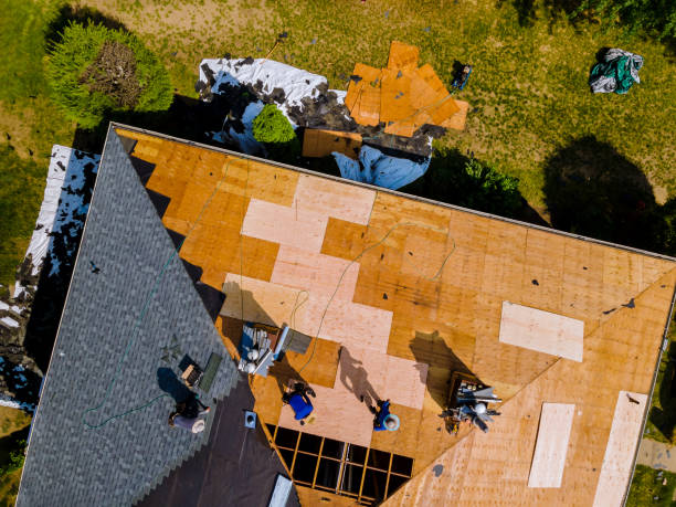 Best Storm Damage Roof Repair  in Hackleburg, AL