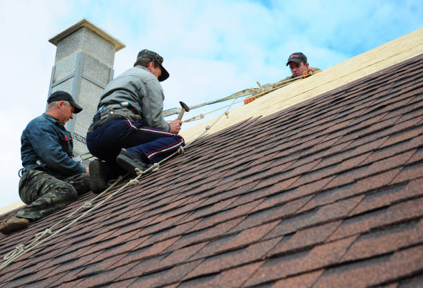 Best Metal Roofing Contractor  in Hackleburg, AL