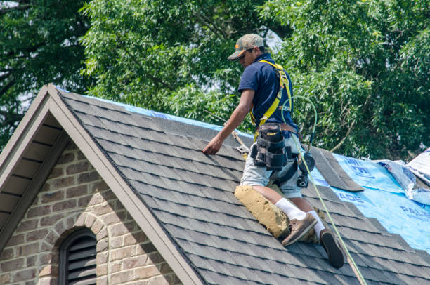 Quick and Trustworthy Emergency Roof Repair Services in Hackleburg, AL